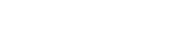 Logotipo blanco de SALTOKI